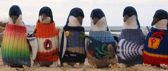 Hombre lleva 80 años tejiendo jerseis para salvar pinguinos