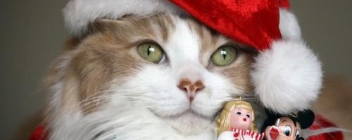 janet