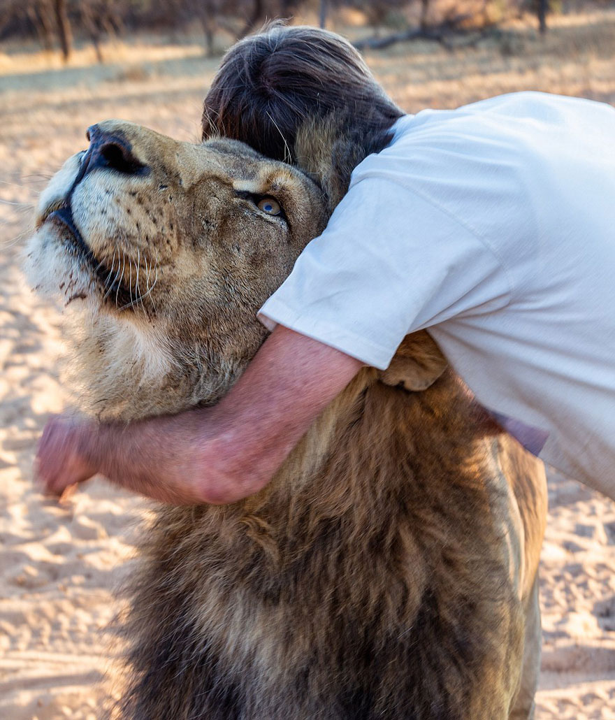 Frikkie y Zion, un cuidador sudafricano y un león gentil - Canal Mascotas